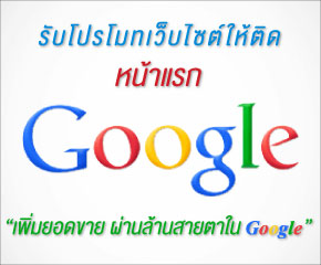 รับโปรโมทเว็บไซต์